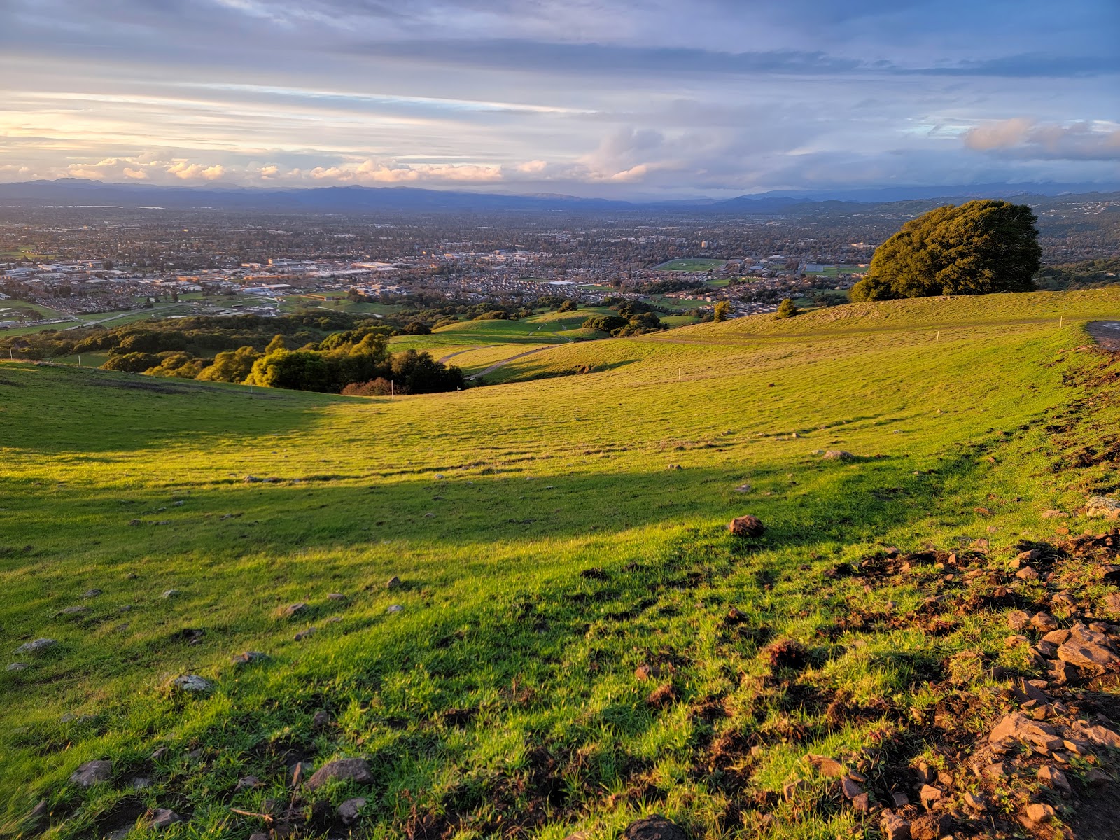 Taylor Mountain Regional Park