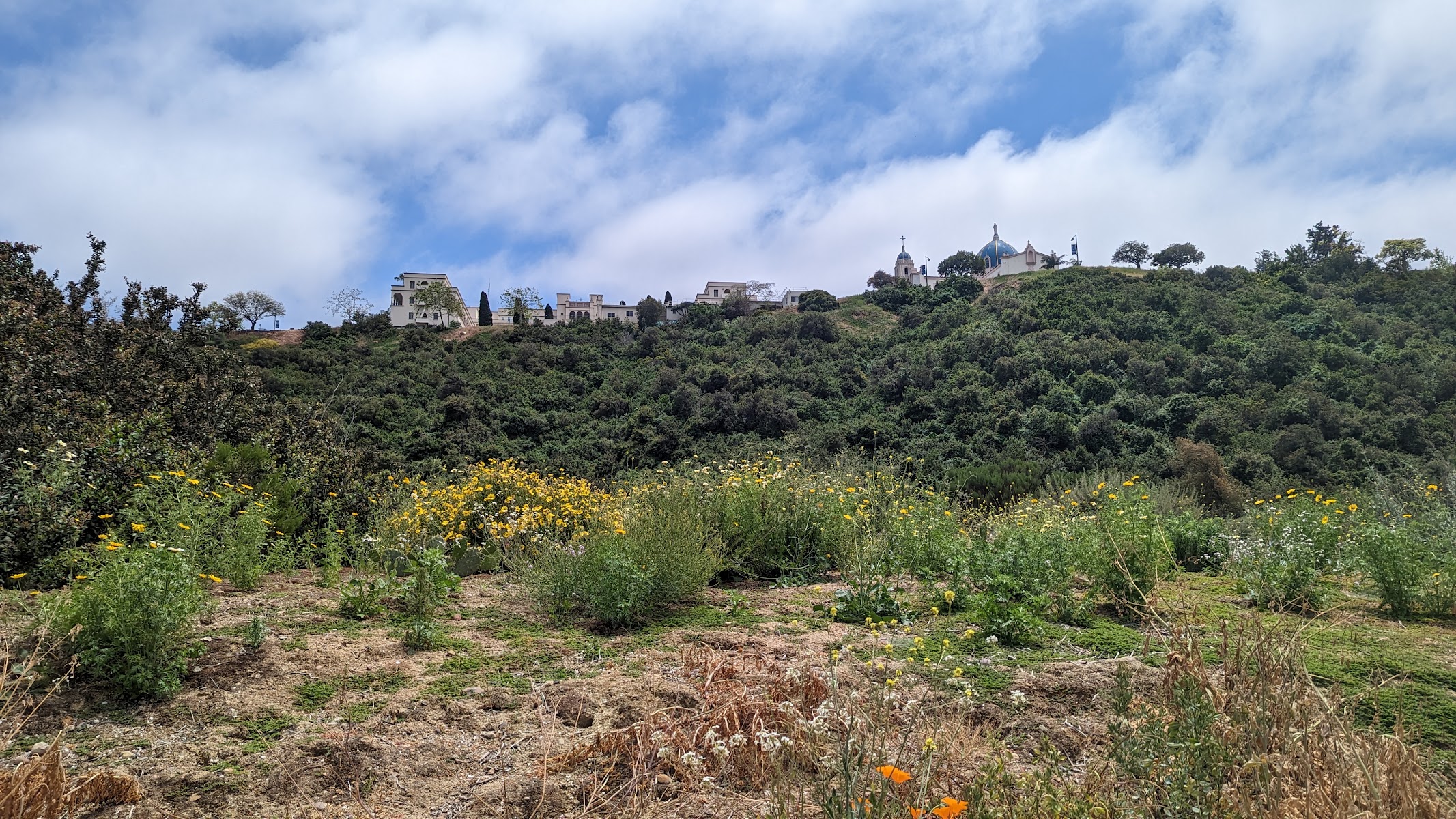 Tecolote Canyon Natural Park and Nature Center