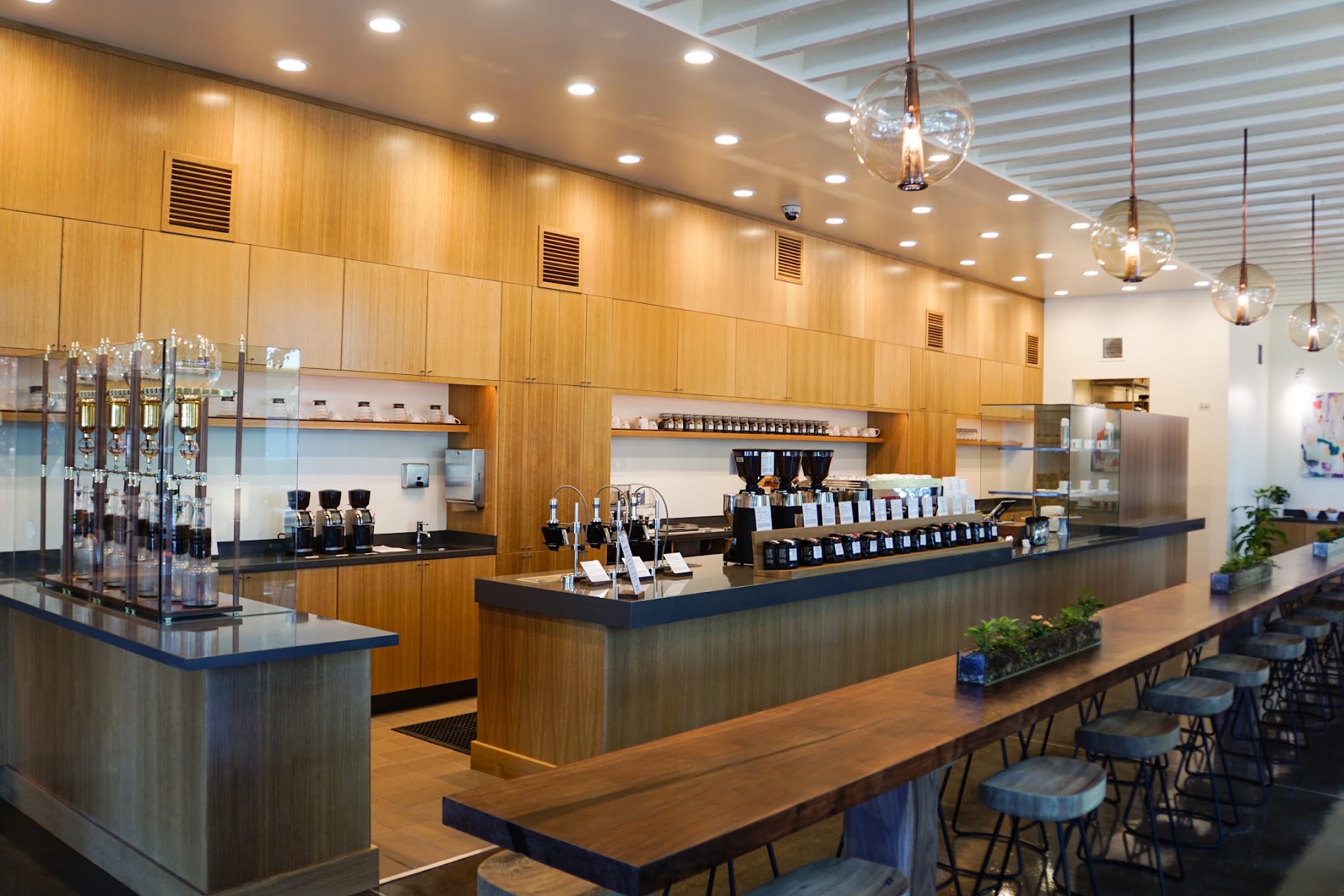 Temple Coffee