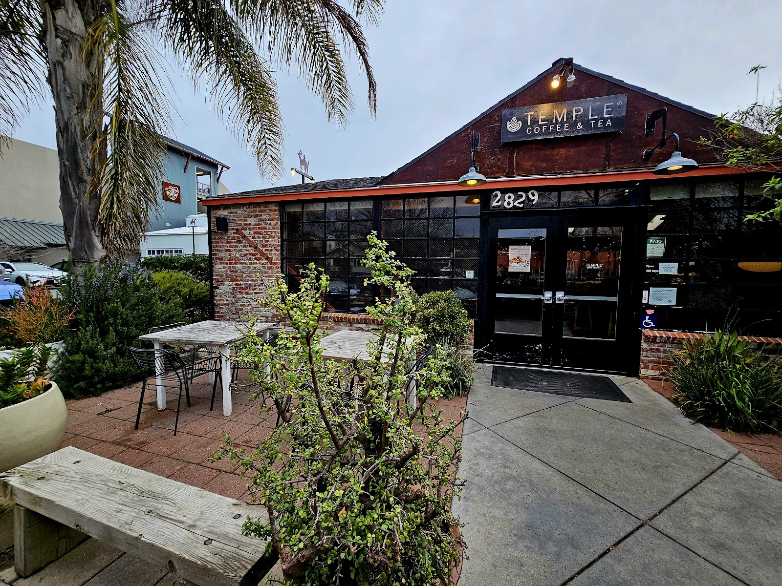 Temple Coffee