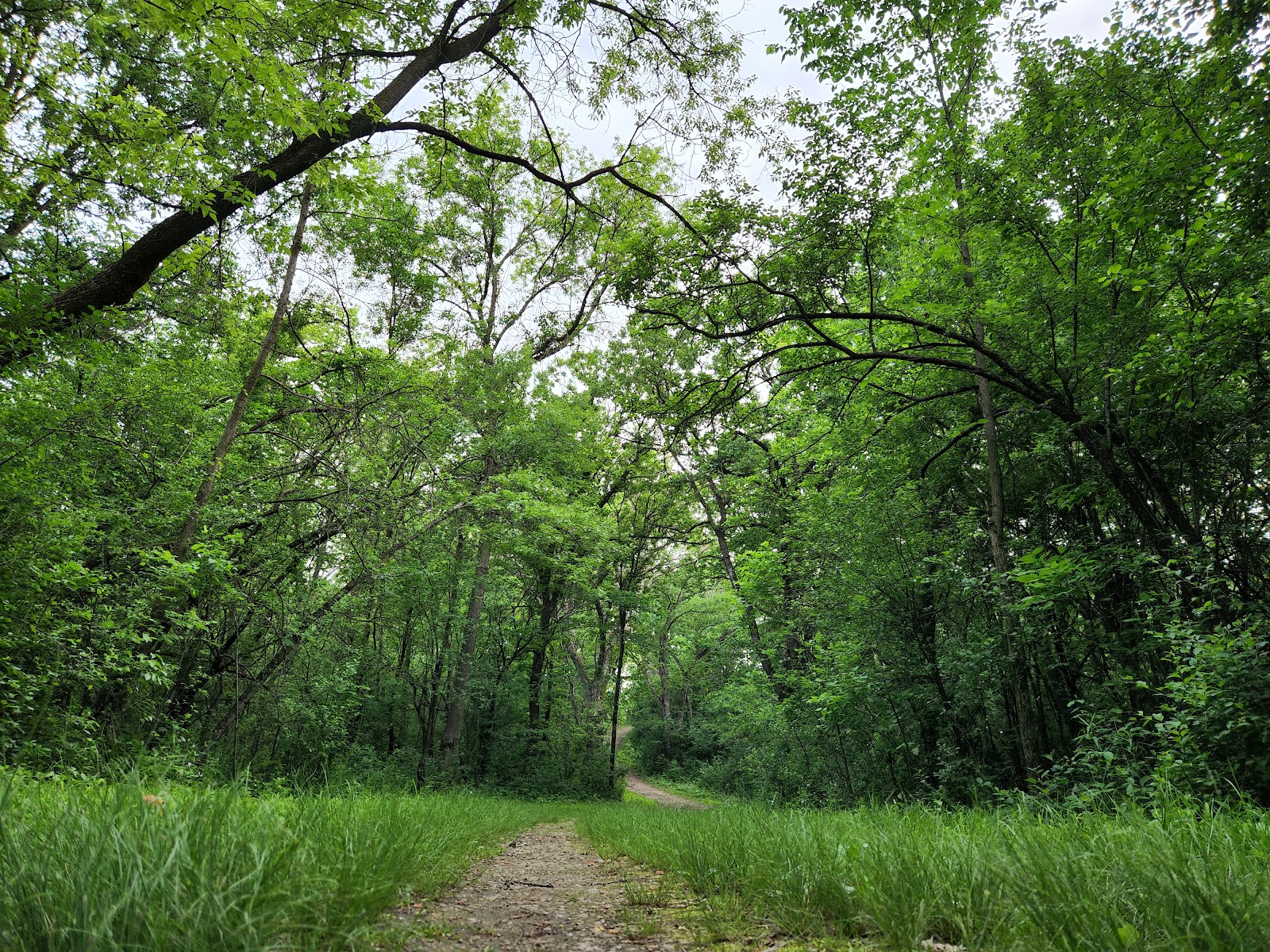 Terrace Oaks West Park