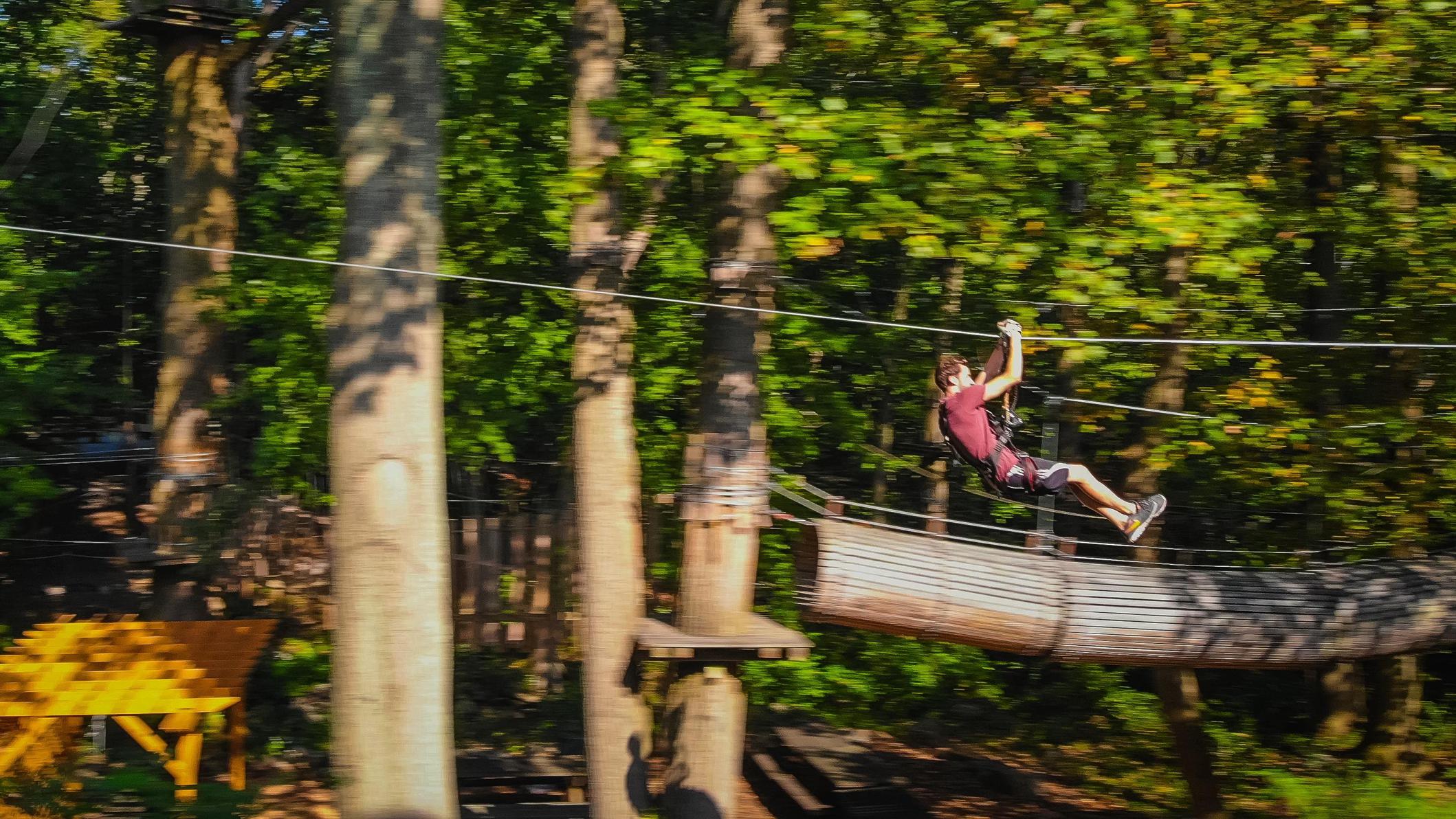 The Adventure Park at the Discovery Museum