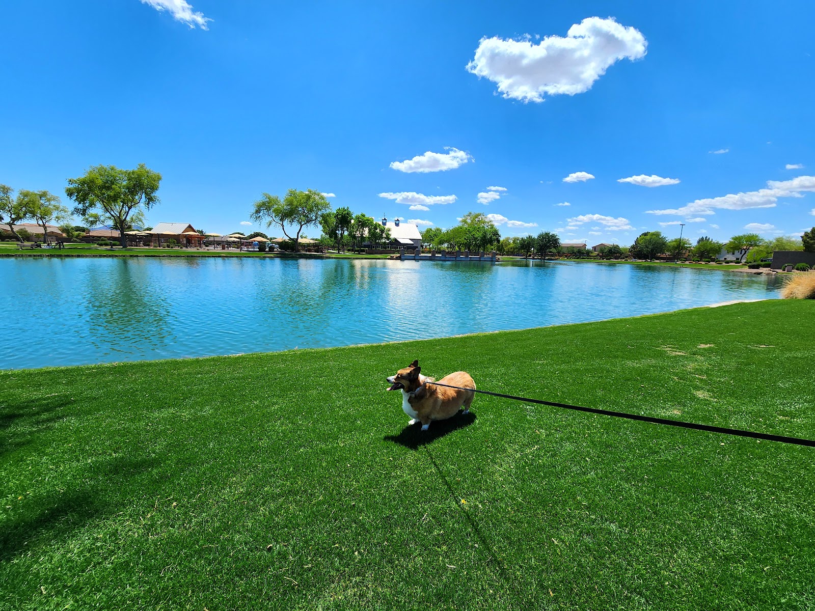 The Barn & Trailside Community Park