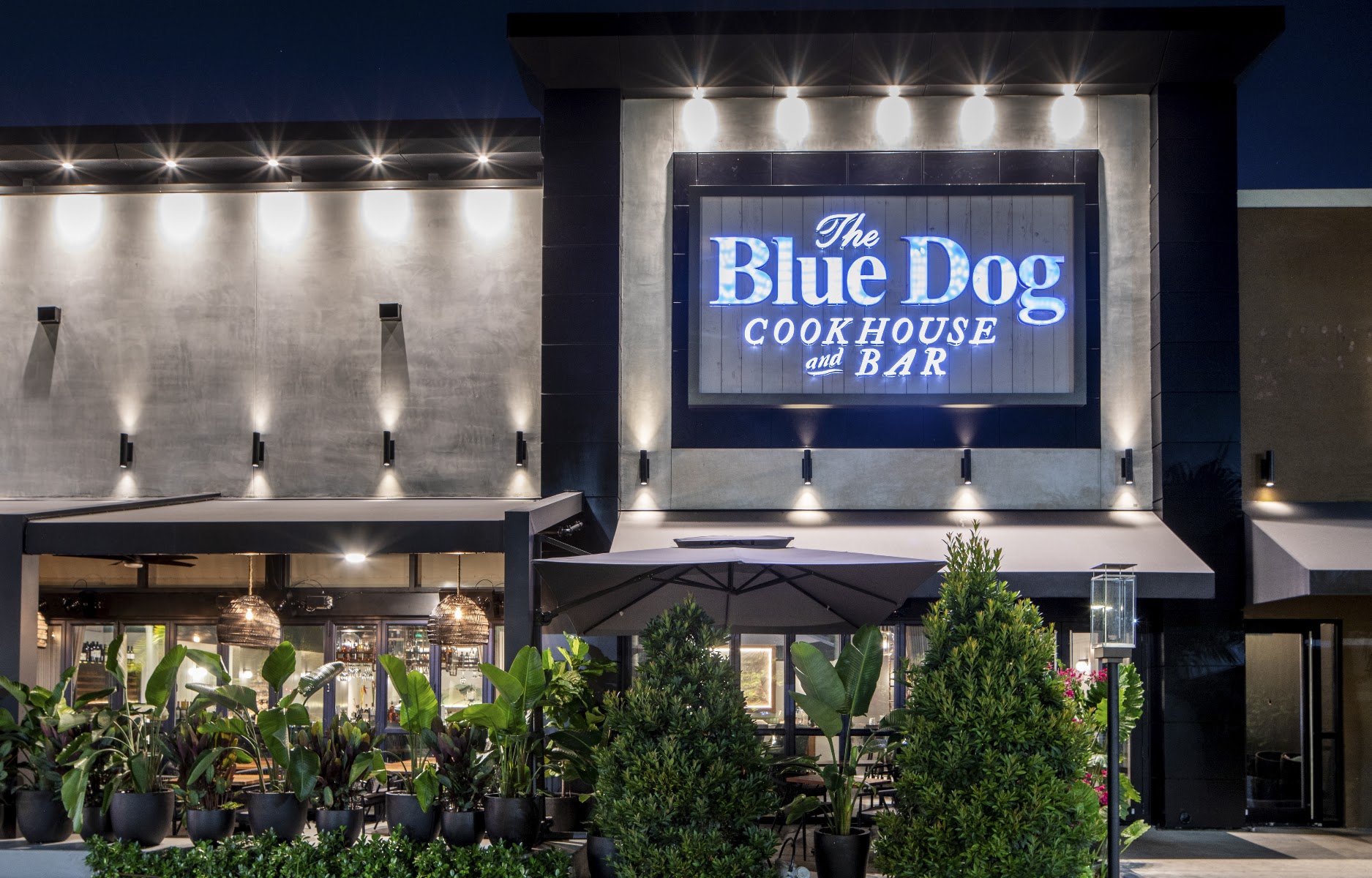 The Blue Dog