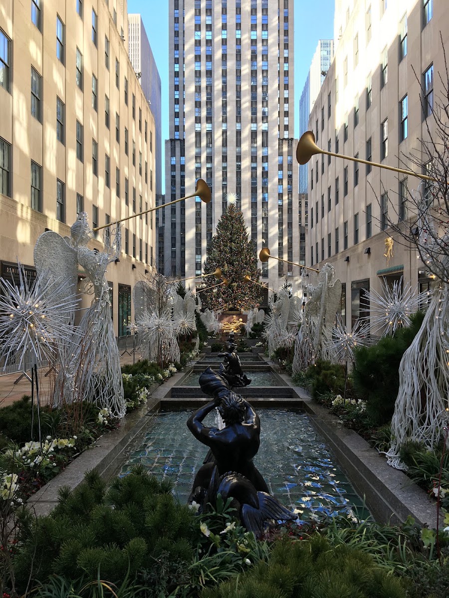 Seasonal Rockefeller Gardens & Lunch
