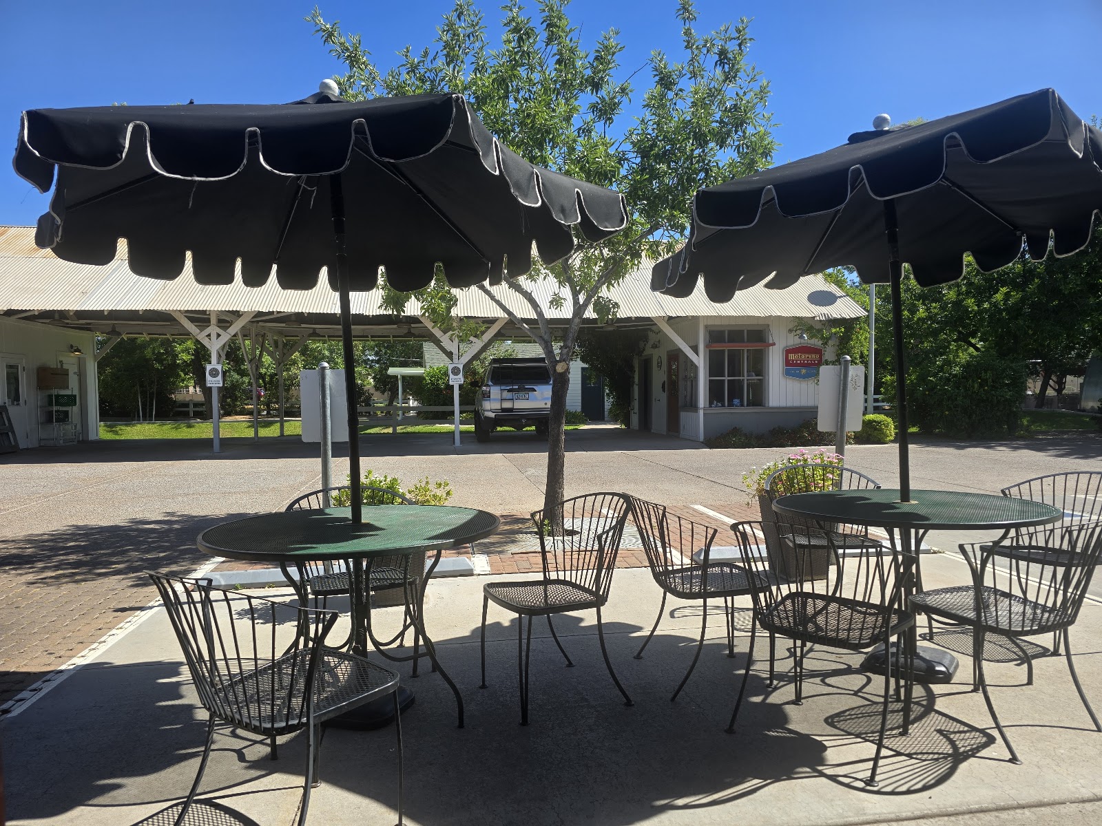 The Coffee Shop