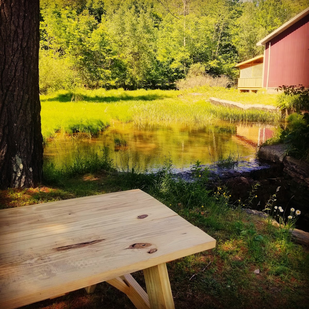 The Crooked Creek