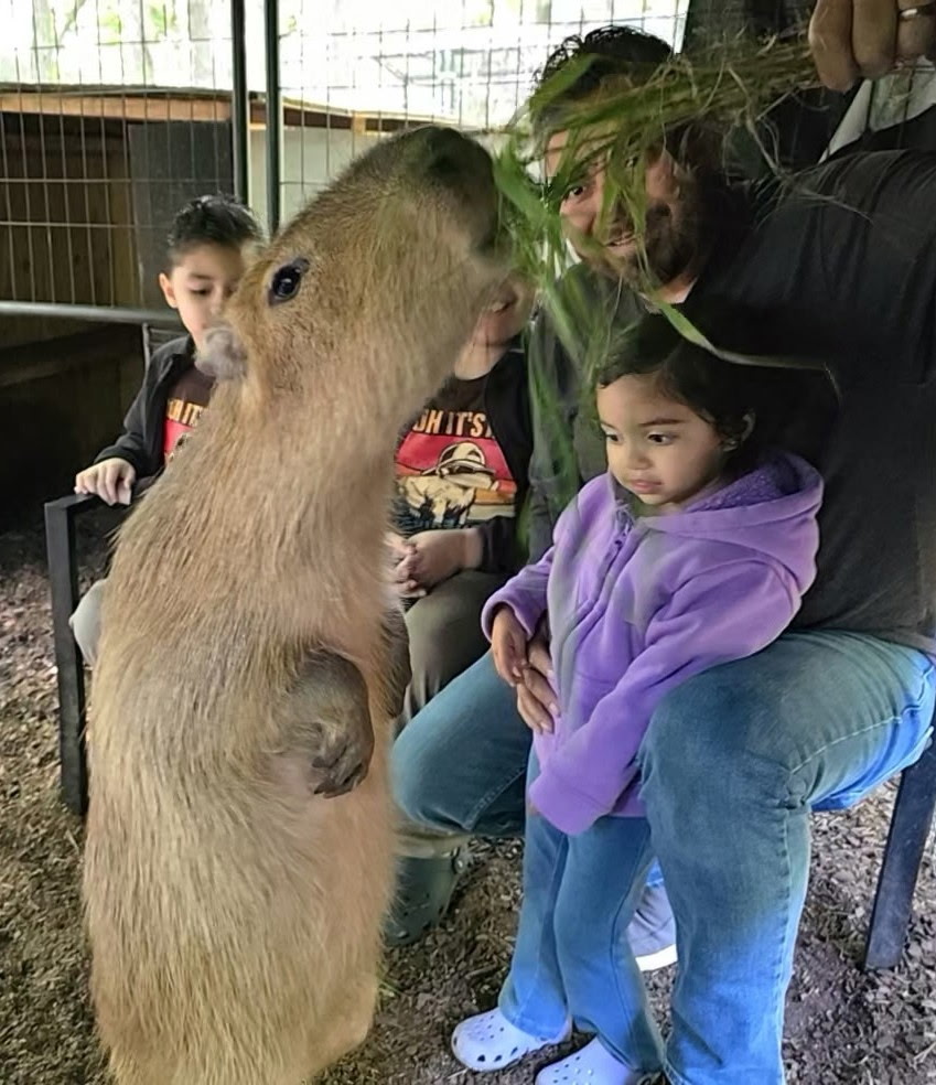 The Dunham Farm Wildlife Park