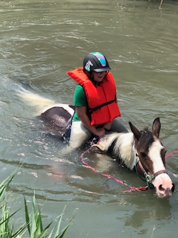 The Farm Animal Rescue; formerly known as The Farm at Gardner Village