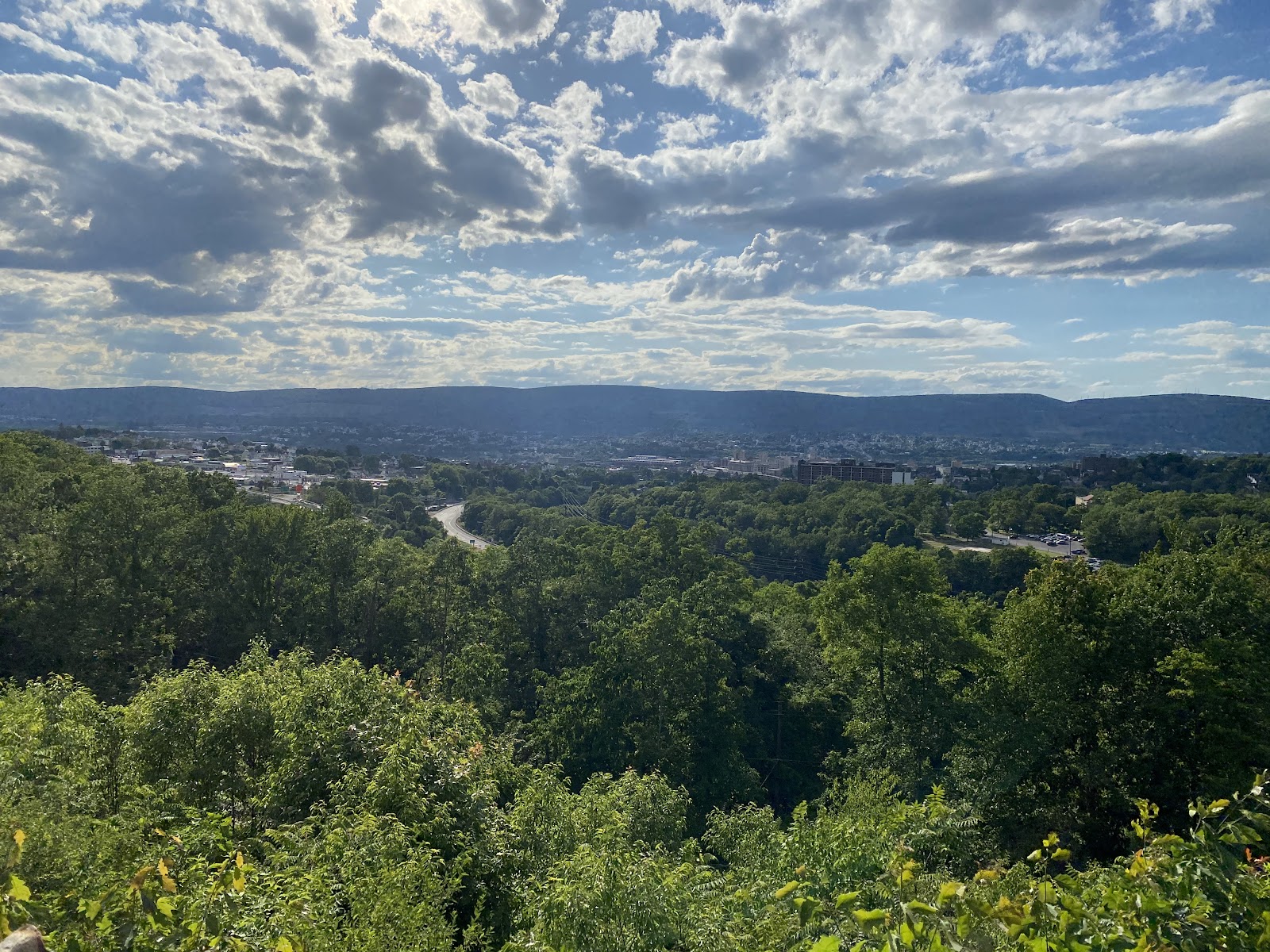 The Lookout
