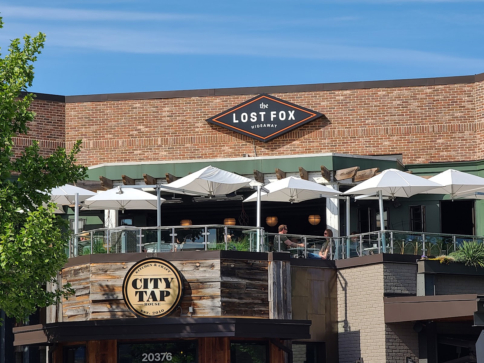 The Lost Fox