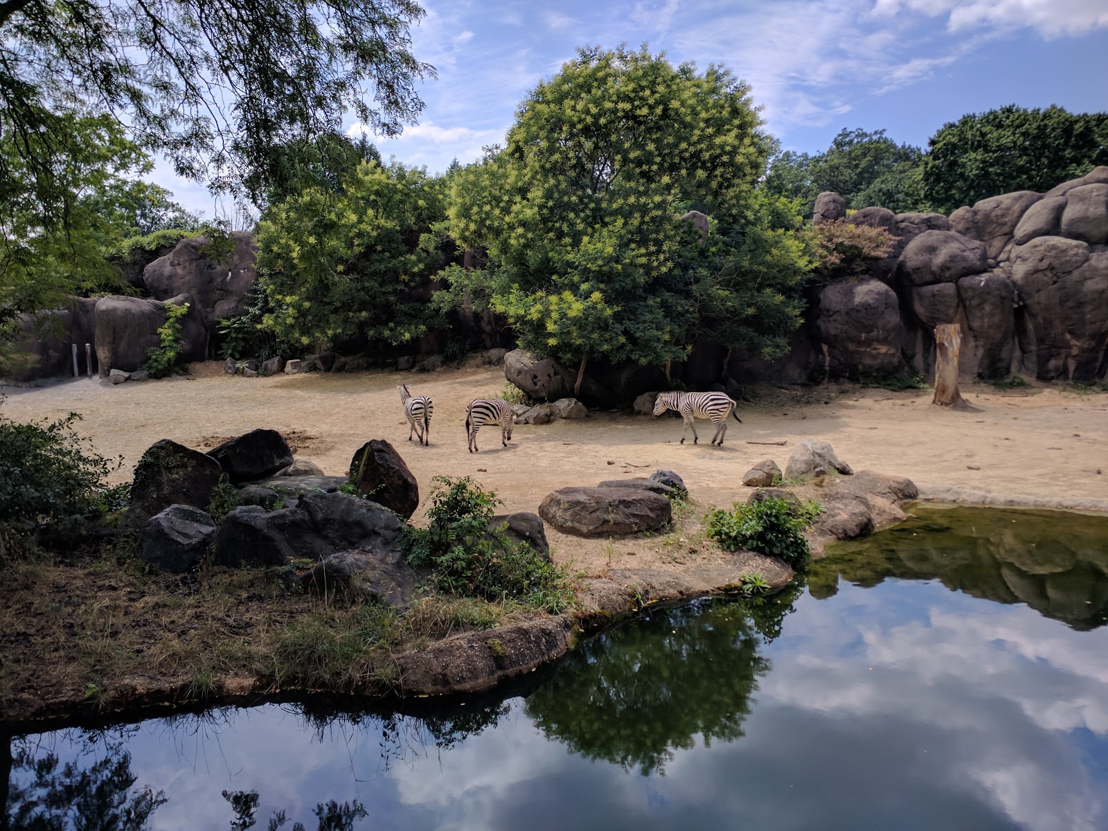 The Maryland Zoo in Baltimore