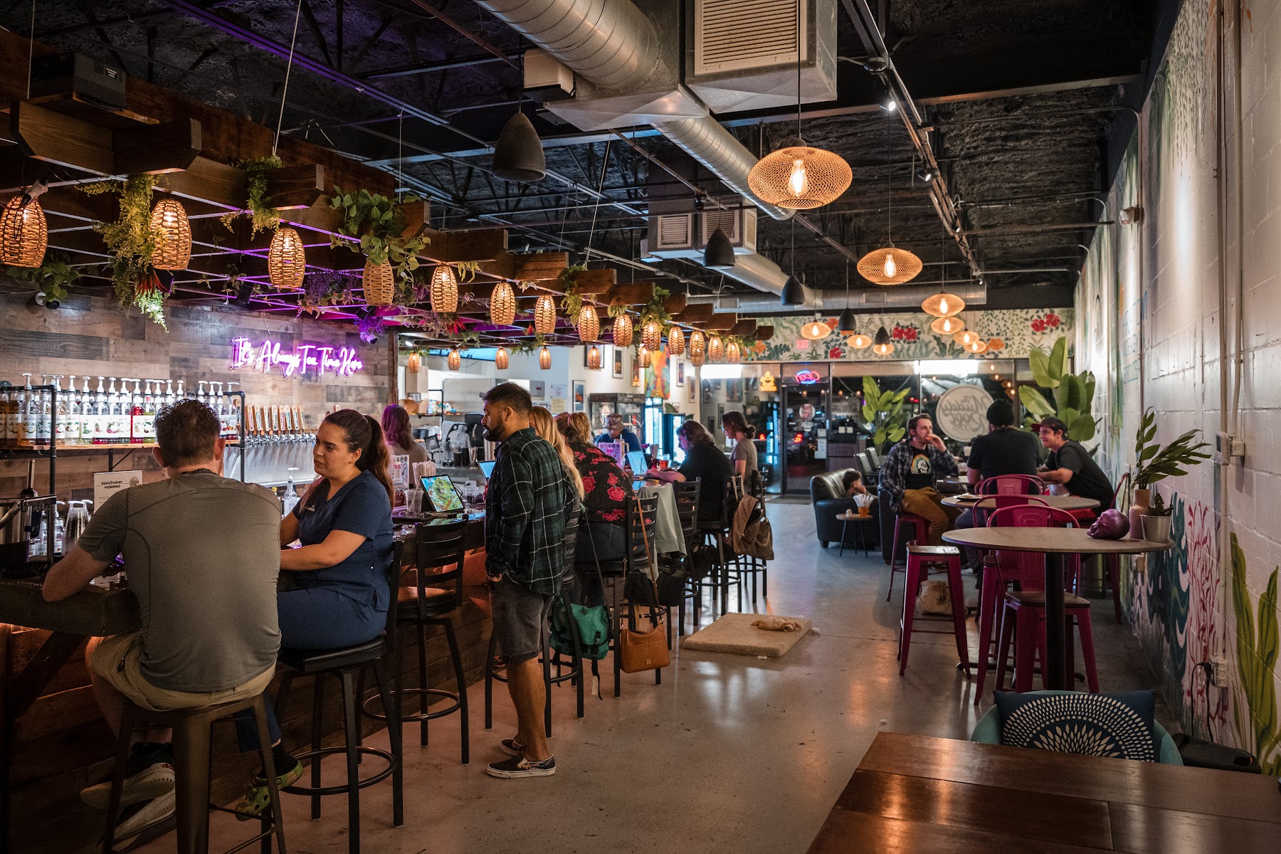 The Muddy Root Kava Cafe