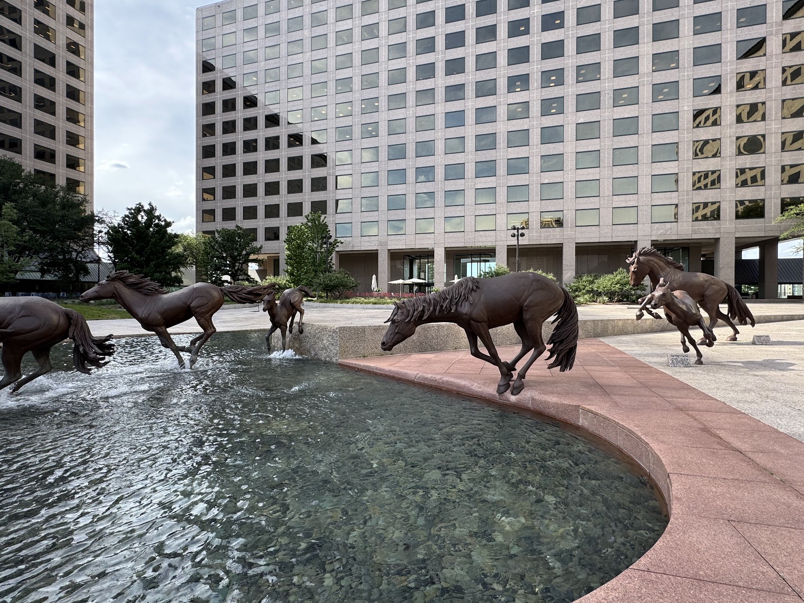 Las Colinas Mustangs & Canal Stroll