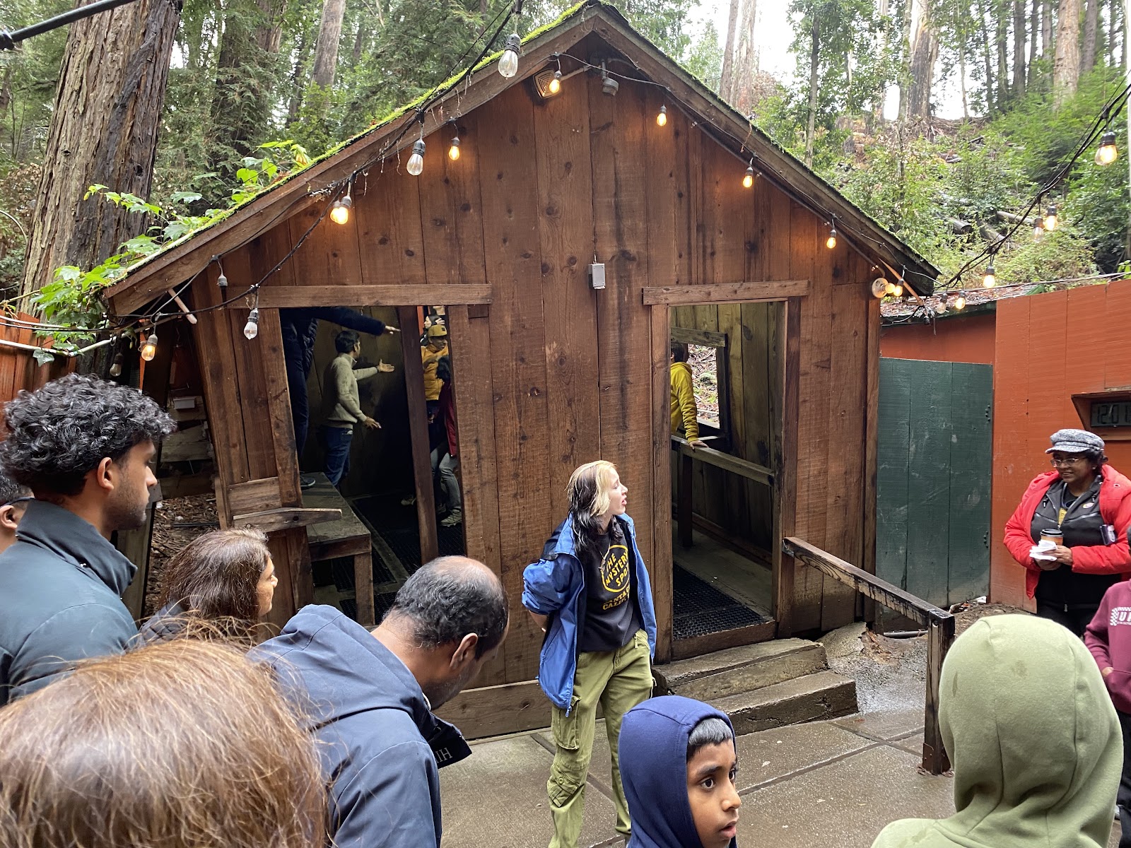 The Mystery Spot