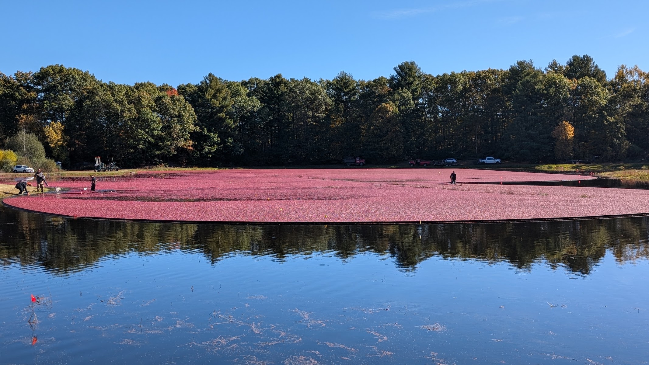 The Nature Trail and Cranberry Bog