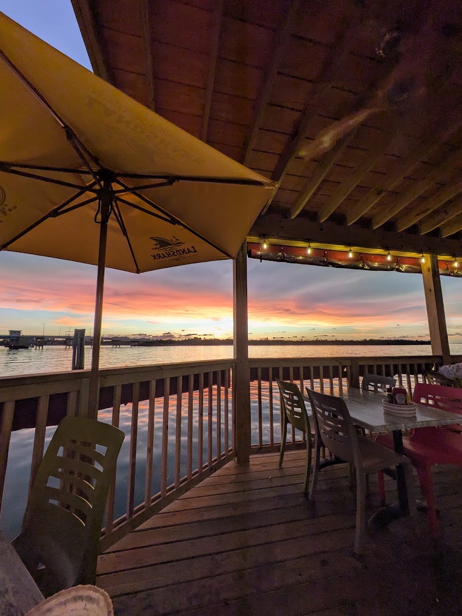 The Old Salty Dog