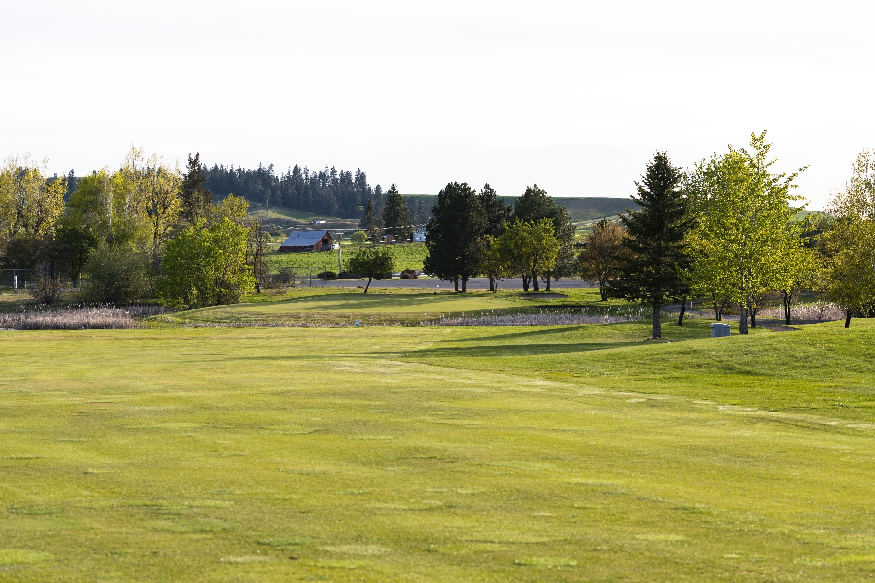 The Plains Golf Course