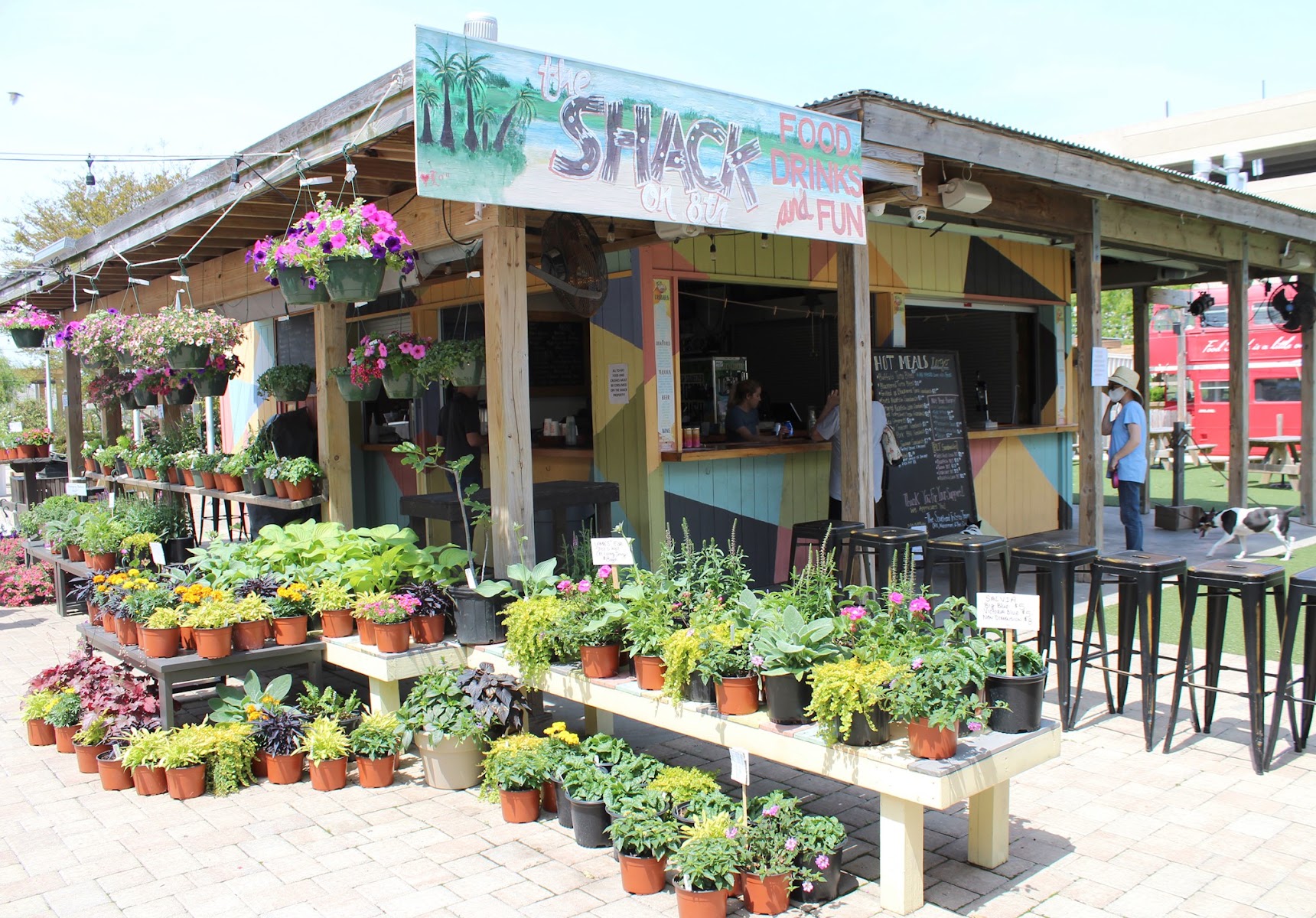 The Shack