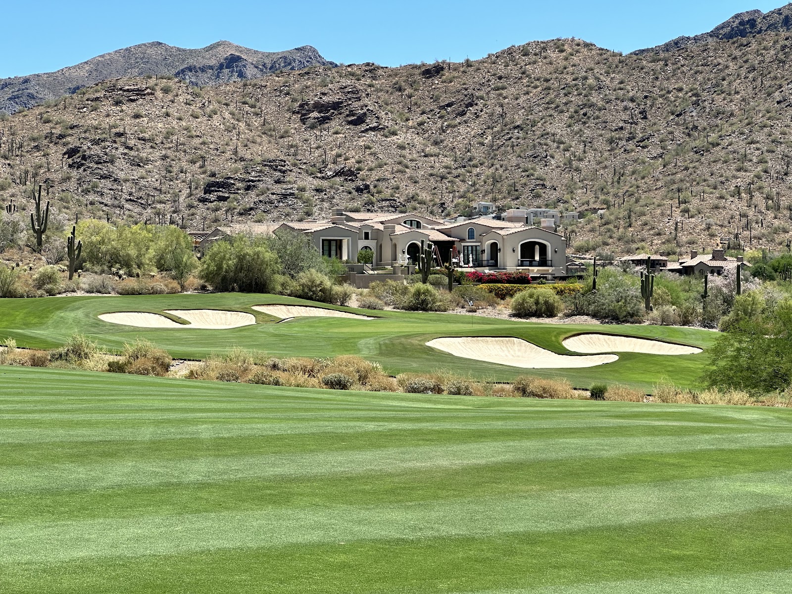 The Silverleaf Club