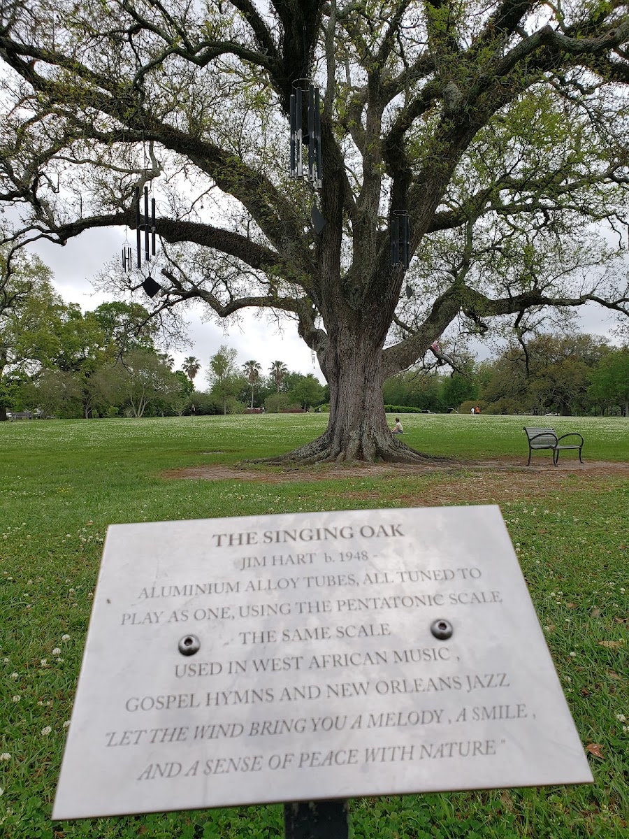 The Singing Oak