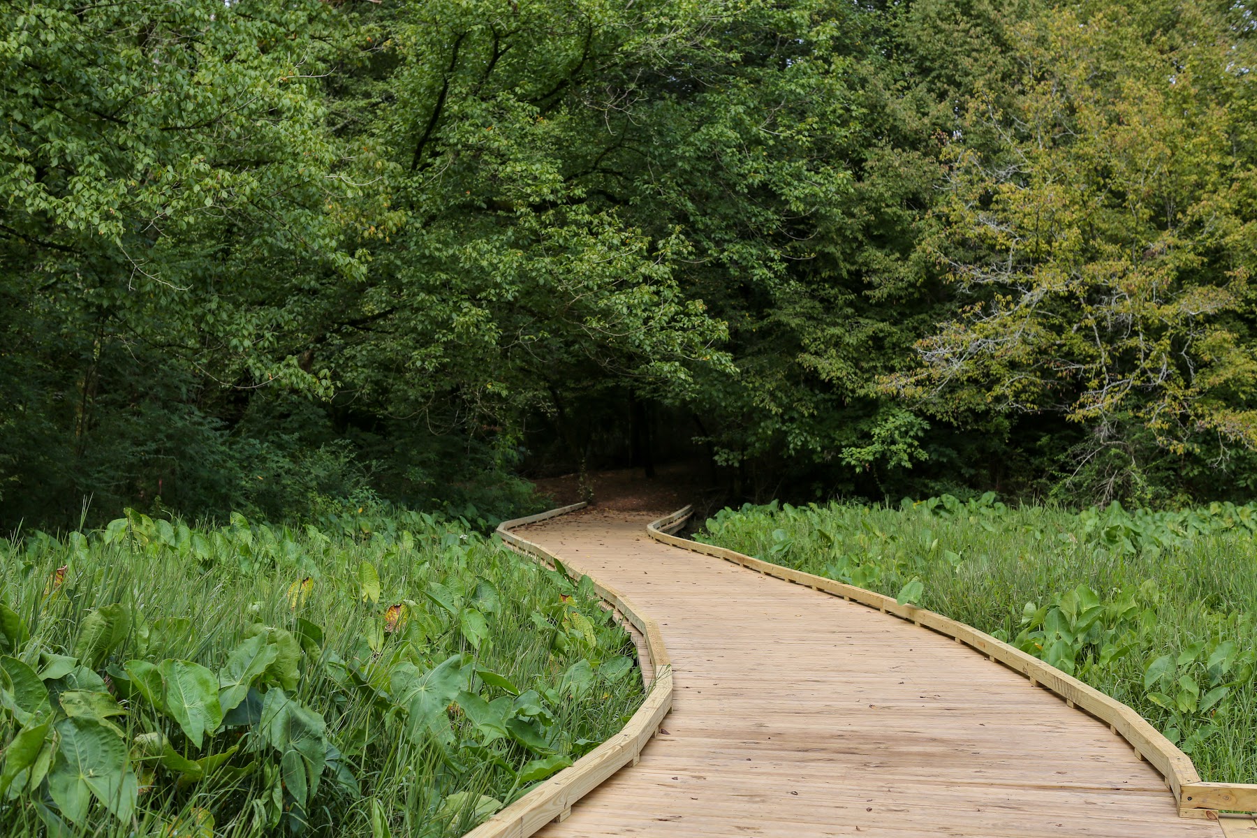 The State Botanical Garden of Georgia