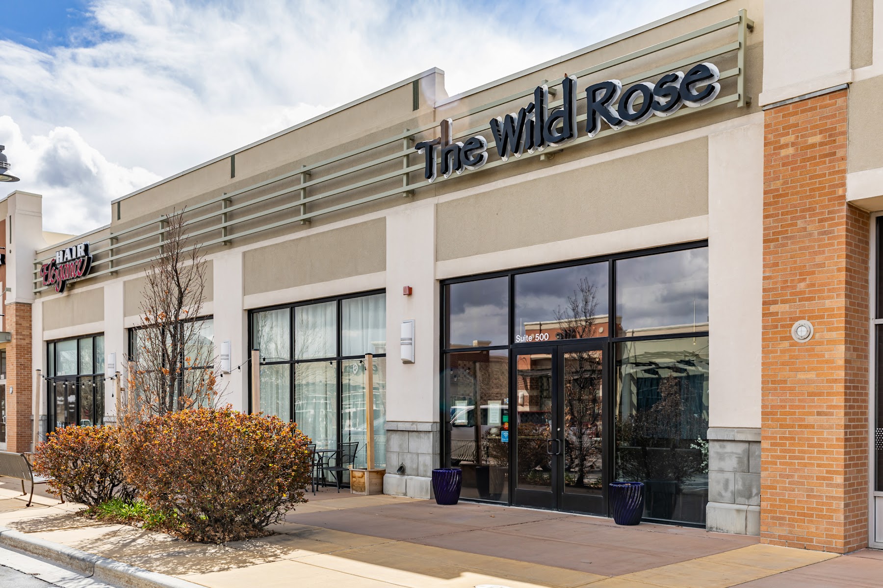 The Wild Rose