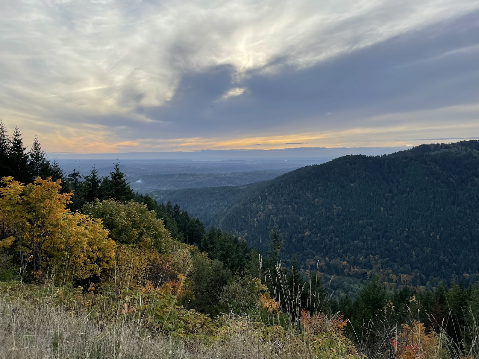 Tiger Mountain State Forest