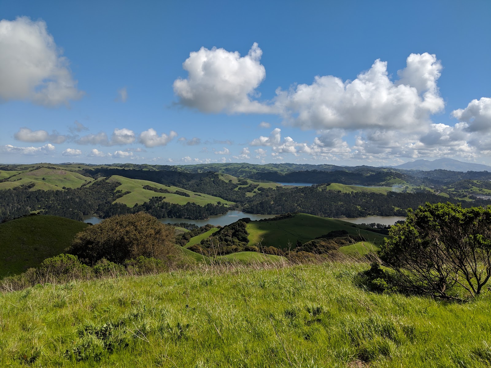 Tilden Regional Park