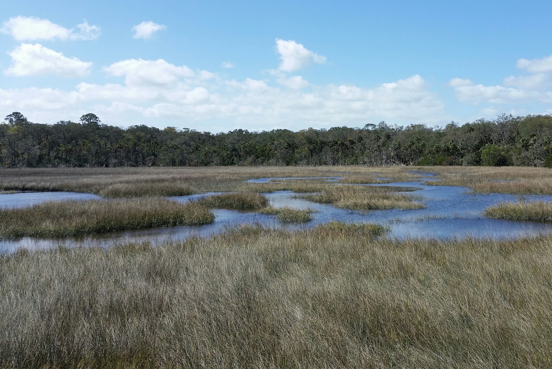 Timucuan Ecological and Historical Preserve