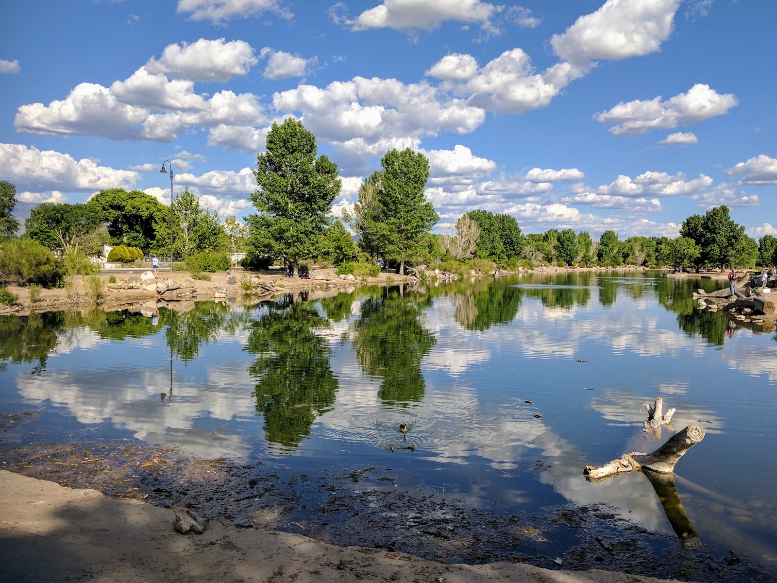 Tingley Beach