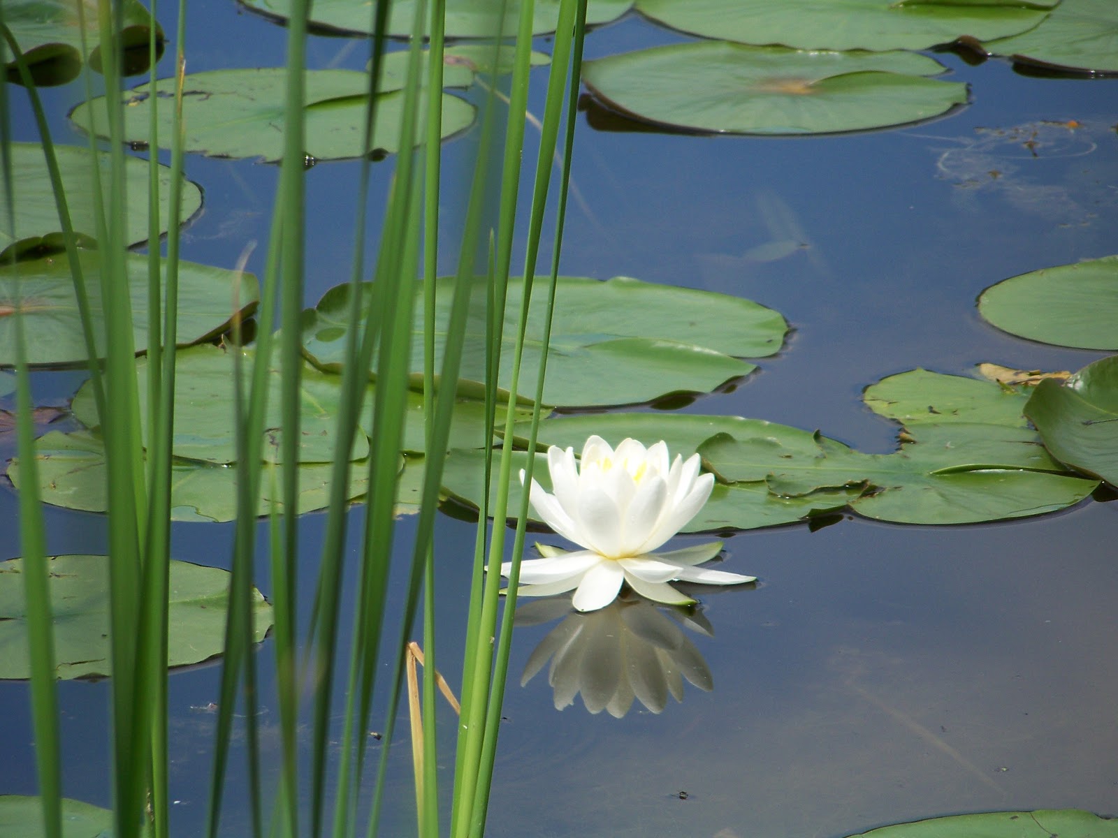 Tinker Nature Park / Hansen Nature Center