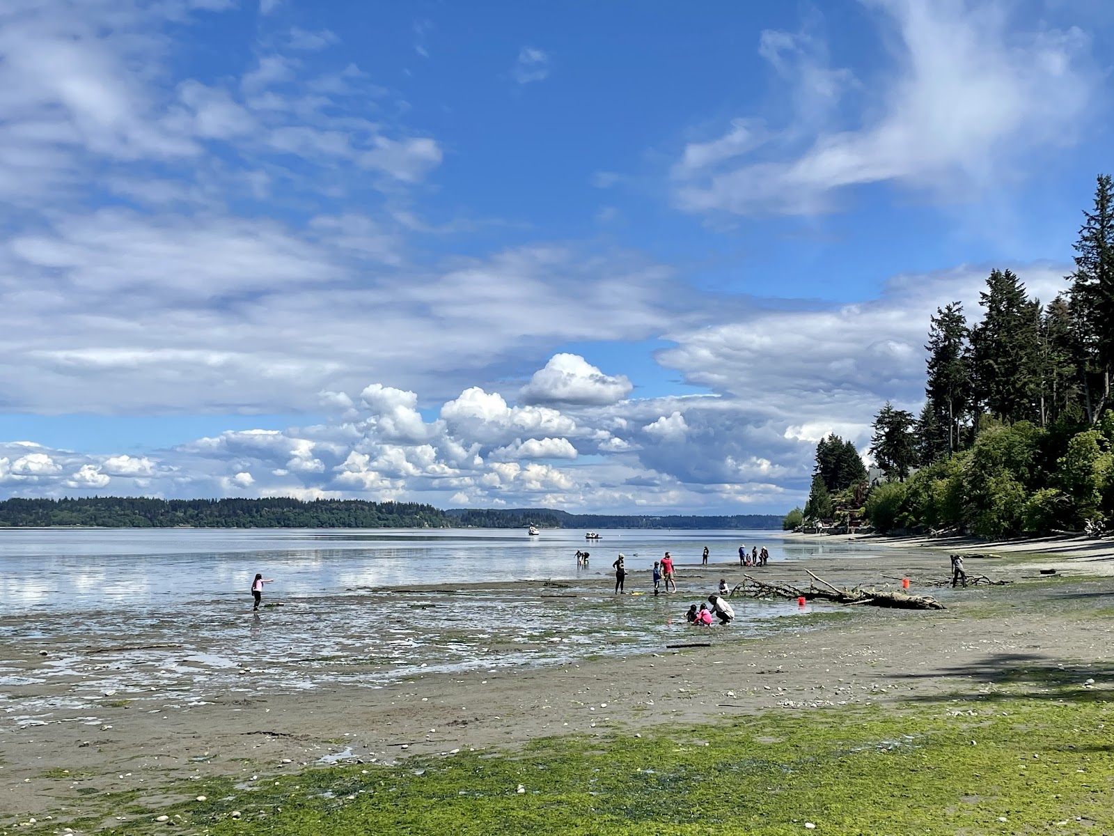 Tolmie State Park