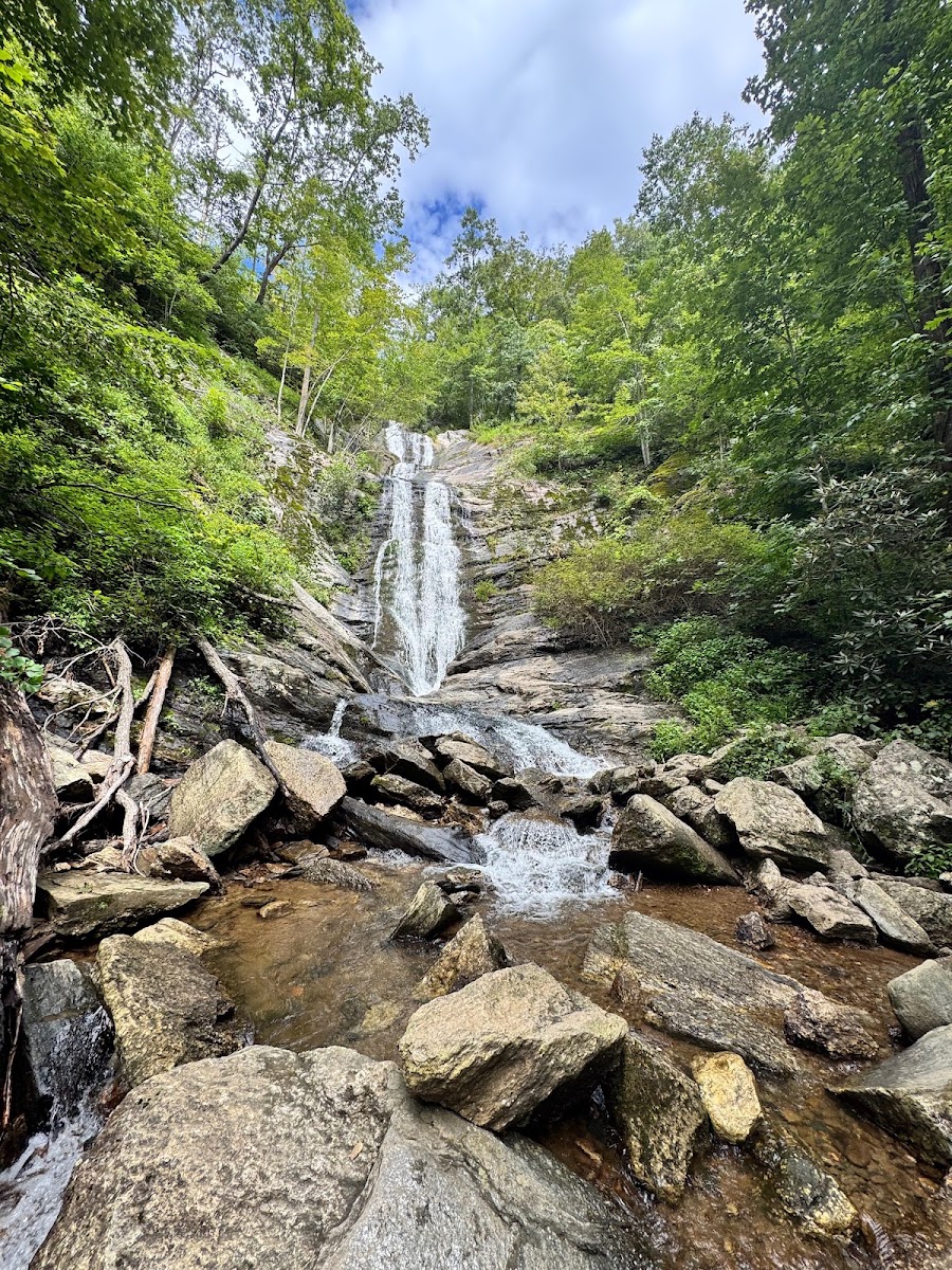 Toms Creek Falls Trail
