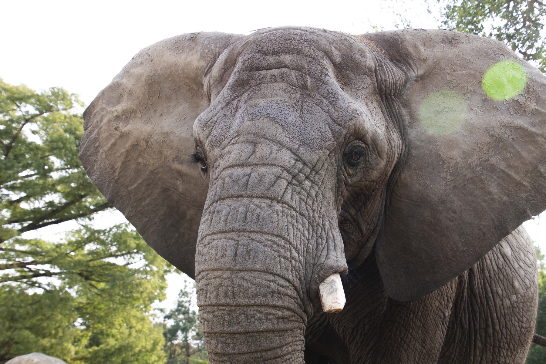 Topeka Zoo & Park Family Fun