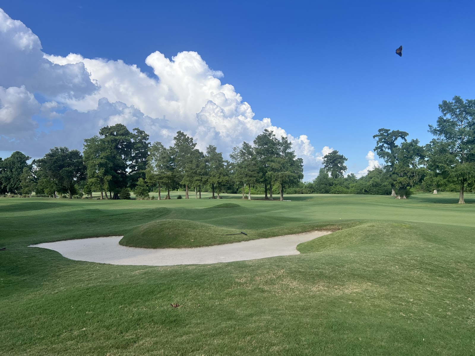TPC Louisiana