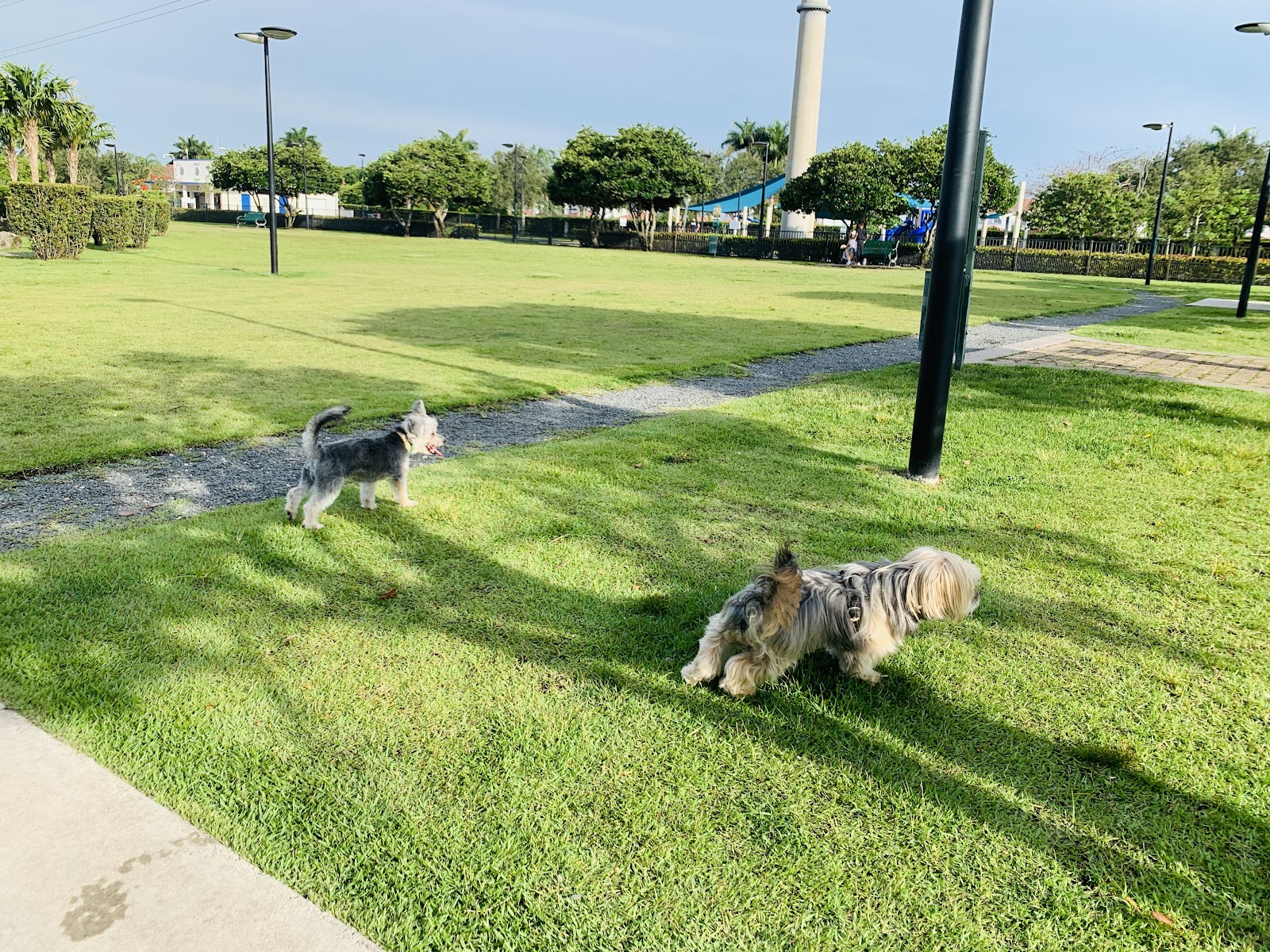 Trails & Tails Park