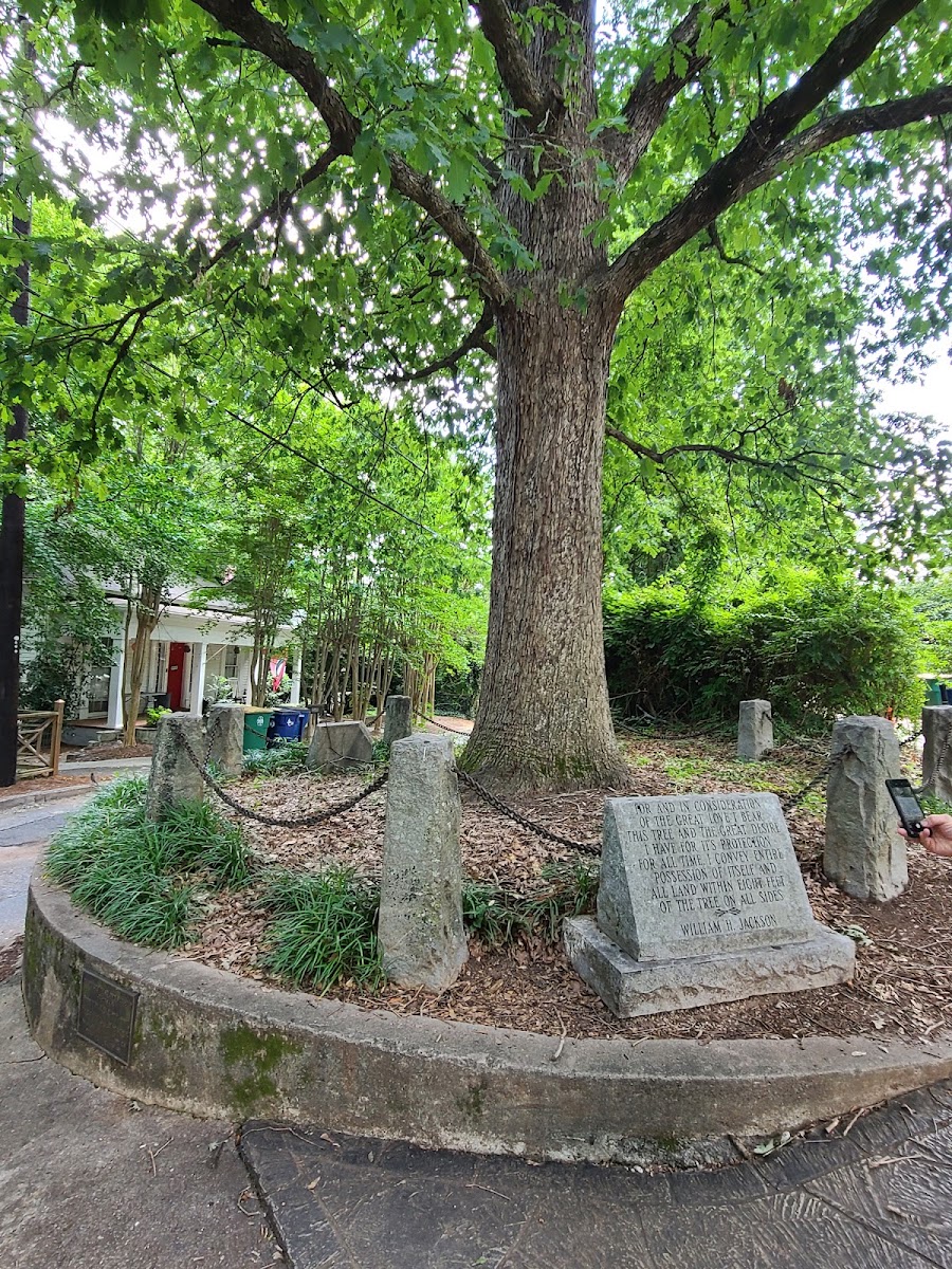 Tree That Owns Itself