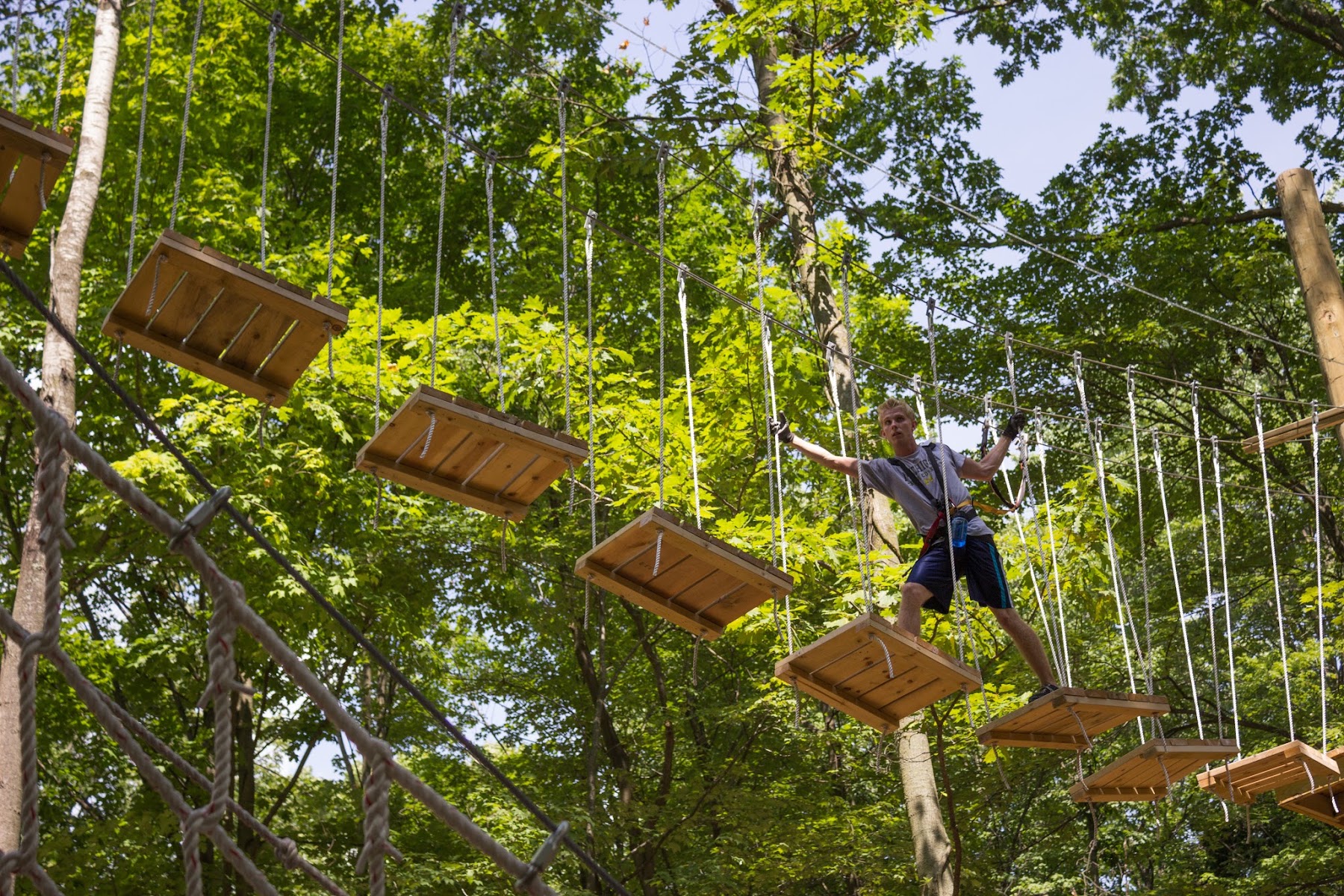 TreeRunner Grand Rapids Adventure Park & Putt Forest