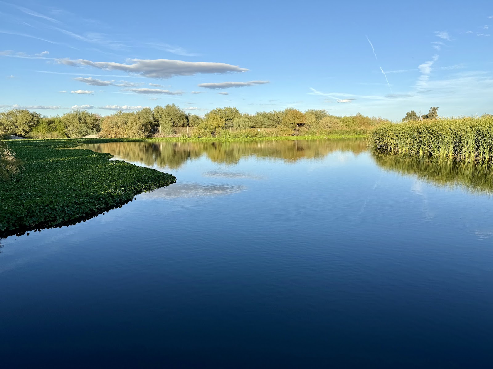 Tres Rios Wetlands