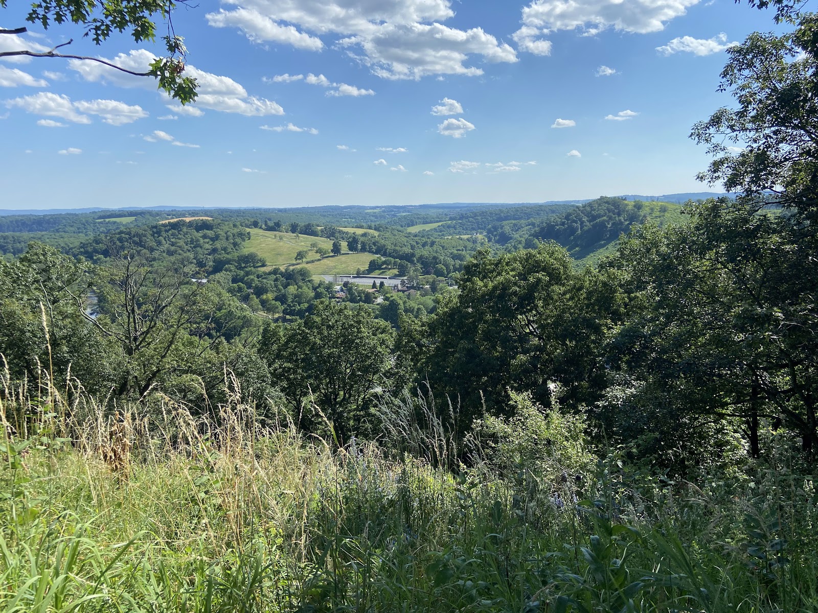 Trexler Nature Preserve