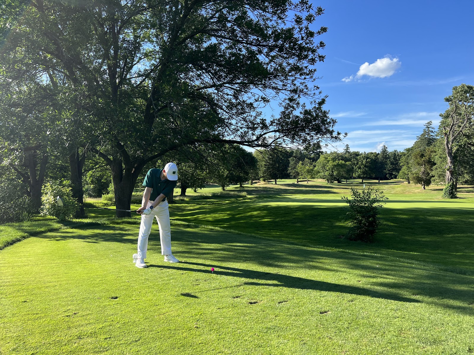 Triggs Memorial Golf Course