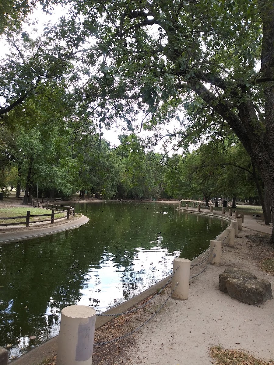 Trinity Park Duck Pond