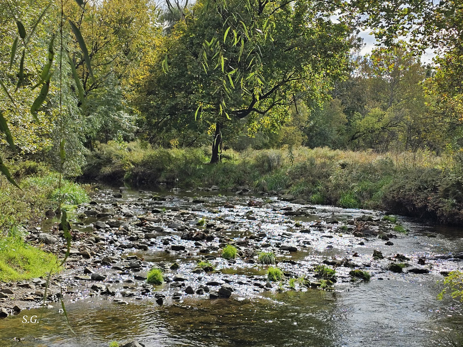 Trout Creek Park