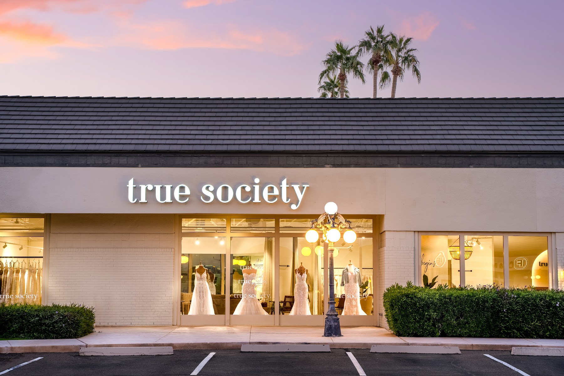 True Society - Mesa