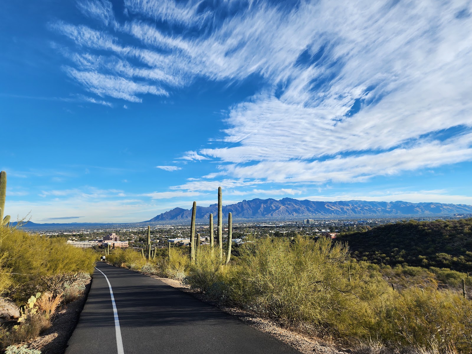 Tumamoc Hill Hiking Trail