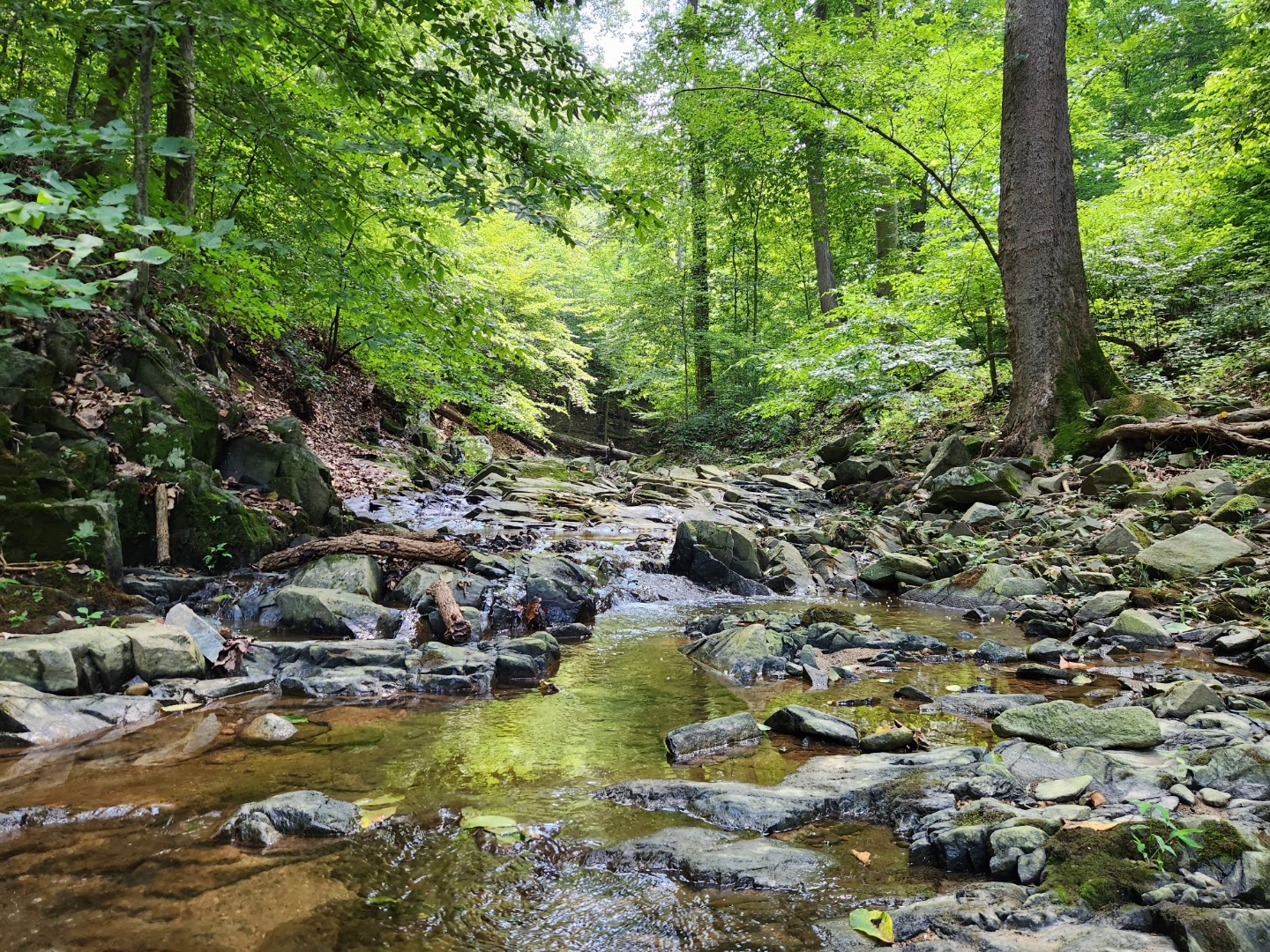 Turkey Run Park