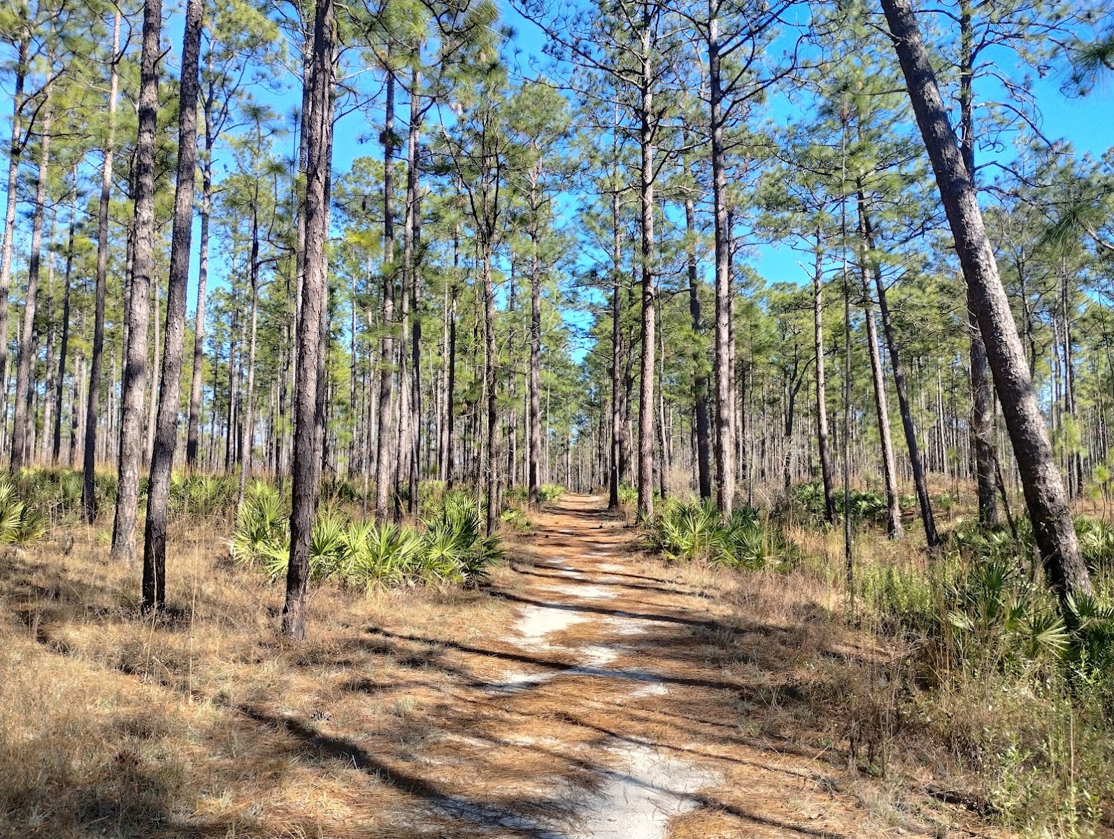 Tuxachanie Hiking Trail (West End Trailhead)