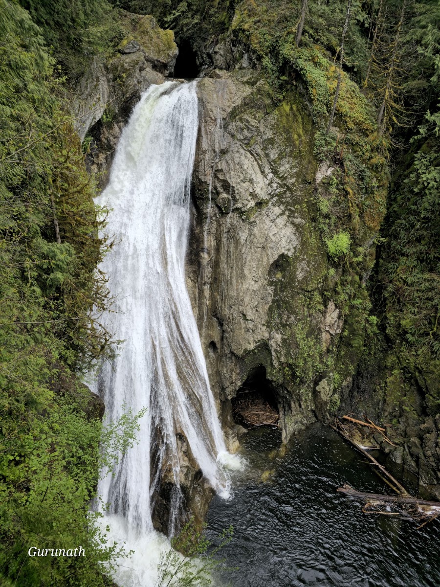 Twin Falls Natural Area