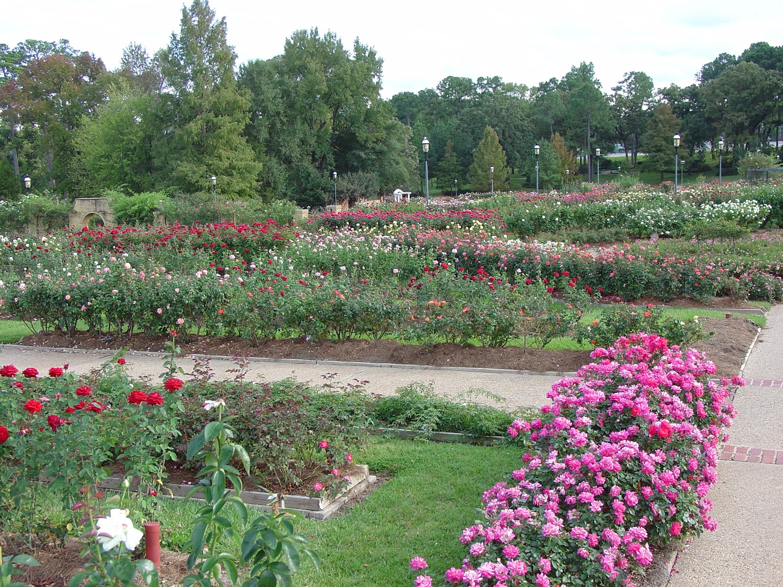 Tyler Rose Garden